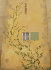 Vine:  A mural in Tavernes, Var, Provence