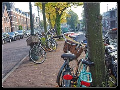 Leiden - 3 okt 2015