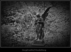 Bergfriedhof Heidelberg in S/W