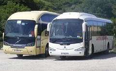 Dorset 2015 Coaches