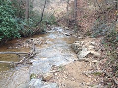 Creek Crossing 