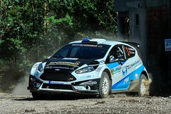 Ford Fiesta R5 Chassis 086 (active)