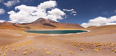 Atacama Experience 2015