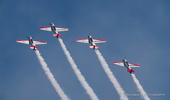 Air & Water show 2015 Chicago