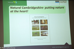 Natural Cambridgeshire - putting nature at the heart