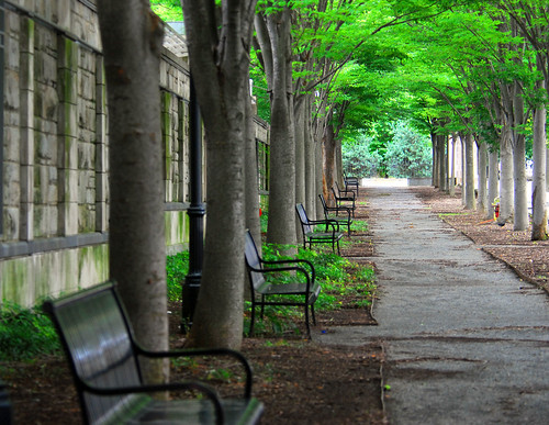 Outside Princeton University by ozoni11