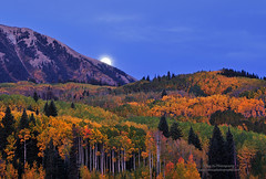 Colorado Fall 2015