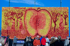 2015-10-04 Äppelmarknad Kivik