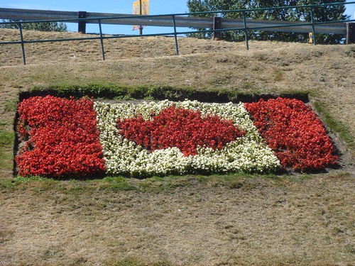 Canadian Flag flower bed