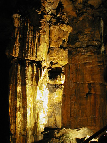 Mammoth Cave Family Trip in Kentucky