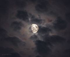 Moon (月亮)