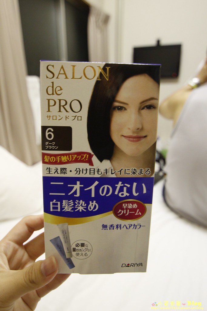 日本DARIYA Salon de Pro沙龍級染髮劑 無味型白髮染 (3)