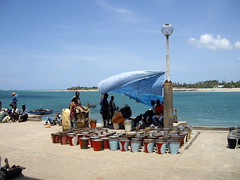 Tanzanie Zanzibar