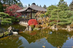 Japanischer Bonsaigarten im Herbst