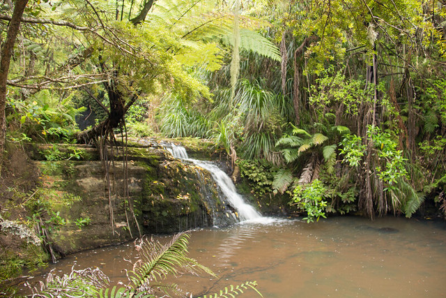 waterfall @ Omeru Reserve
