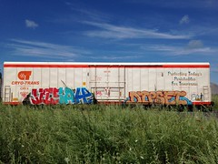 RailCar Graffiti