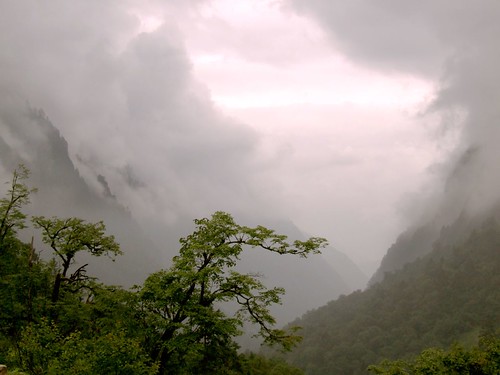 Wolong National Reserve, China