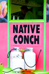 Native Conch