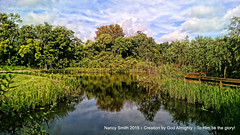 2015-09-03 Mead Garden and Lake Adair