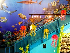 aquariums and fish