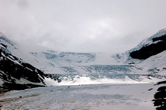 Athabasca Glacier @Columbia Icefield