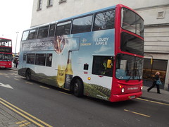 advert buses