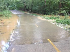 Less Flooded Greenway 