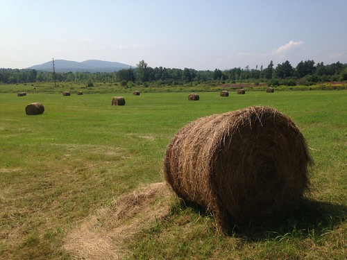 Round bales of hay in the fields