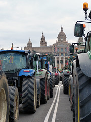 1a marxa pagesa (Catalunya) / 1st farmer march (Catalonia)