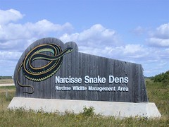 Narcisse Snake Dens