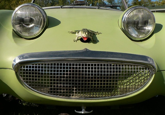 A FrogEye Sprite literally The owner having some fun