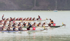 San Francisco International Dragon Boat Festival 2015