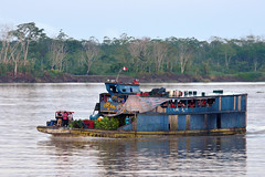Amazon - Río Marañon y Nauta Caño
