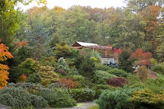 Kubota Garden