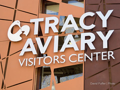 Tracy Aviary 2/26/17