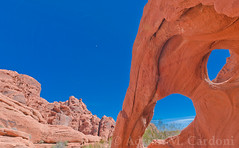 Valley of Fire 2015