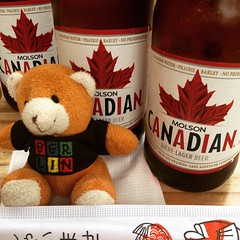 Bear in Canada