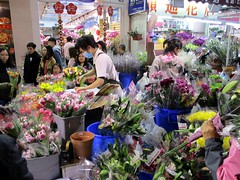 Mong Kok Flower Market 旺角花墟