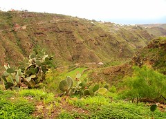 2008, Gran Canaria