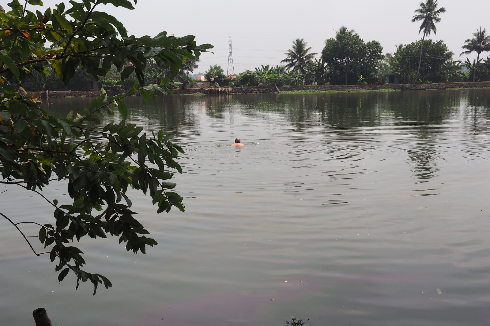 Indien, Keral, - Backwaters