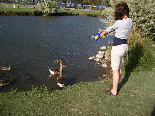 nerf pointed at duck