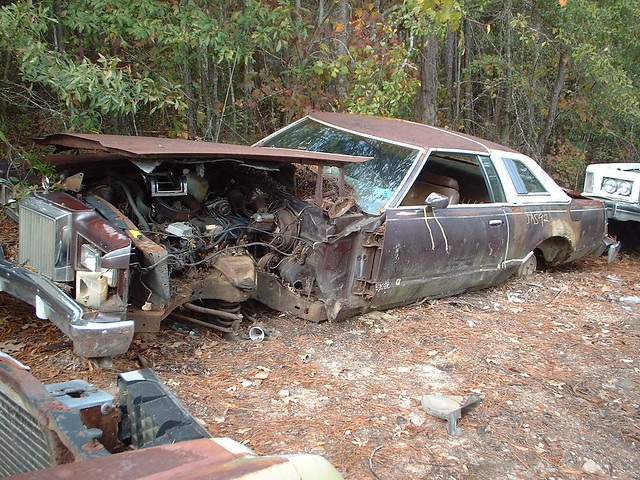 The Junkyard Photo Thread - The Ford Torino Page Forum - Page 2