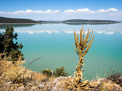 2014,Turquie,Lac Beyshehir