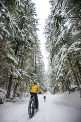 Squamish Fat Bike riding with Danielle and Juneau Dec 18 2016
