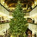 Jenner's Christmas tree