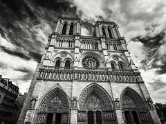 Paris/London 2015 - Day 6 (Notre Dame/La Rive Gauche)