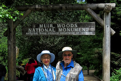 Muir Woods National Monument Redwood Forest Mill Valley California USA