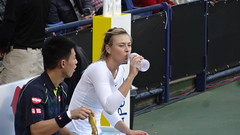 Maria Sharapova, Kei Nishikori