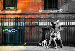 NYC Street Photos