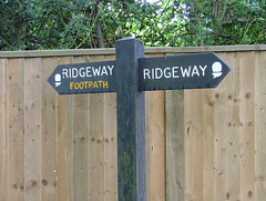 Ridgeway path